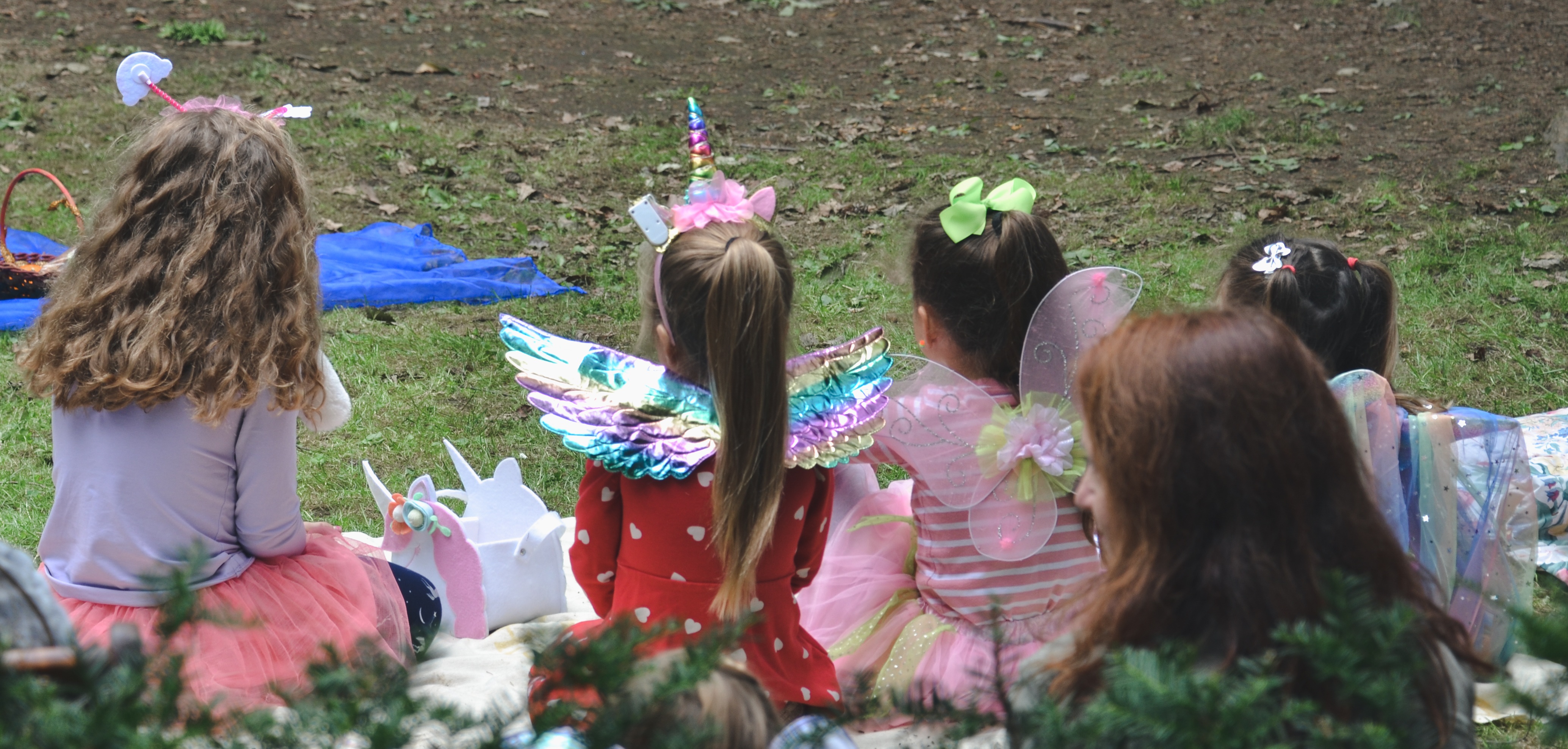 Fairy House Tour